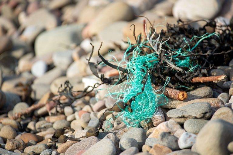 Ligne de pêche verte enroulée dans des algues sur une plage